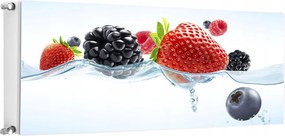 Mágneses Radiátorszőnyeg 140x60 Gyümölcs Fotótapéta