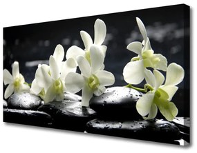 Vászonkép falra Stones virág növény 140x70 cm