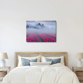 Kép - Tájkép tulipánmezőkkel (70x50 cm)