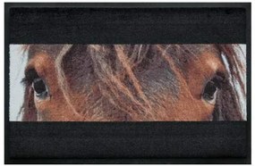 Állatos prémium lábtörlő - barna ló (Válassz méretet: 100*70)