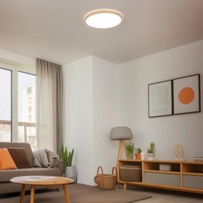 Brilagi - LED fényerőszabályozható mennyezeti lámpa PINE LED/60W/230V + távirányítóval