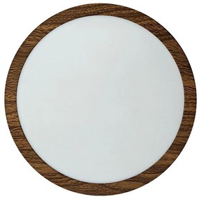 LED Mennyezeti lámpa RING LED/18W/230V 4200K átm. 21 cm barna