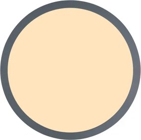 GLOBO 416080WD1R DORO Kerek Mennyezeti Lámpa IP20