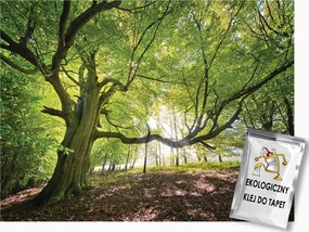 Fotótapéta Flizelina Tájkép Természet Fa Erdő Kilátás 350x250 ragasztó