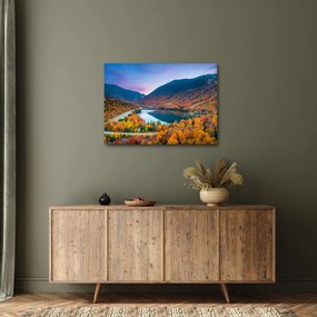 Kép - White Mountain, New Hampshire, USA (70x50 cm)
