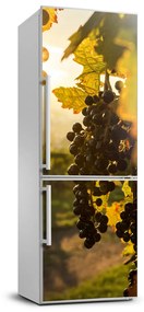 Dekor matrica hűtőre Vineyard tájak FridgeStick-70x190-f-92882474