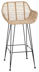 Bárszék 2 pcs Természetes 55 x 52 x 92 cm Rattan és Vas