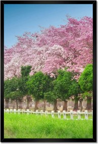 Poszterek keretben 40x60 Cseresznye tájkép