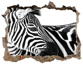 Fali matrica lyuk a falban Zebra hó nd-k-121577688
