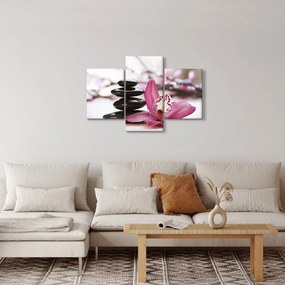 Masszázs kövek és orchideák képe (90x60 cm)