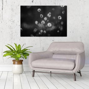 Kép - Pamutfű a réten (90x60 cm)