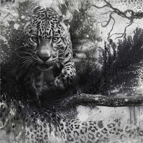 Divatos 3D fali tapéta Leopárd absztrakt 250x250 ragasztóval