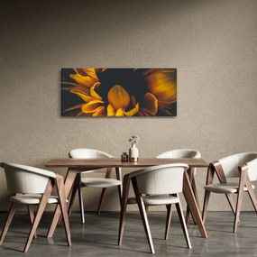 Kép - Napraforgó fekete háttérben (120x50 cm)