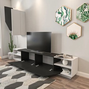 Zebra - Black, White