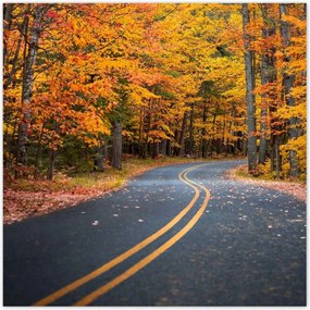 Poszterek 140x140 Tájkép Látvány