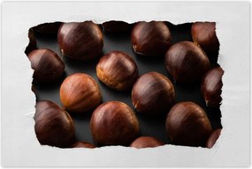 Poszterek 90x60 Kormány Ehető gesztenye