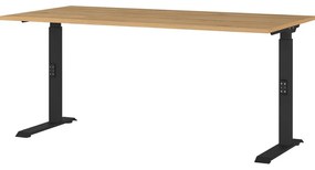 Íróasztal állítható magassággal, tölgyfa dekoros asztallappal 80x160 cm Agenda – Germania