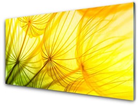 Akrilüveg fotó Pitypang Virágok Természet 100x50 cm