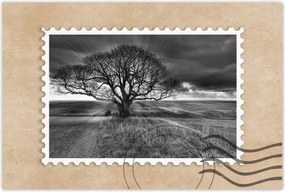 Poszterek 90x60 Gyönyörű naplemente