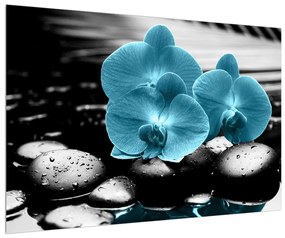 Kék orchidea képe (90x60 cm)