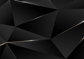 Fotótapéta - Fekete geometriai felosztás (152,5x104 cm)