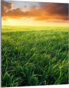 Üveg Vágódeszka 40x52 Kilátás a Konyhába