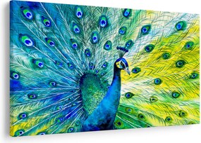 Páva képe (90x60 cm)