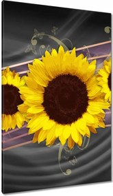 Vászonkép 80x120 Napraforgók