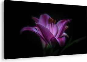 A liliom képe (90x60 cm)