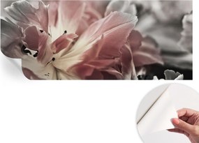 Fotótapéta Fali tapéta Hálószobába és Nappaliba Pasztell virág 250x104 cm