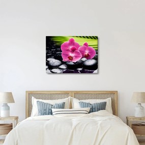 Kép - Rózsaszín orchidea pálmalevéllel (70x50 cm)