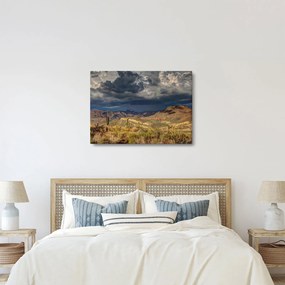 Kép - kaktuszok a természetben (70x50 cm)