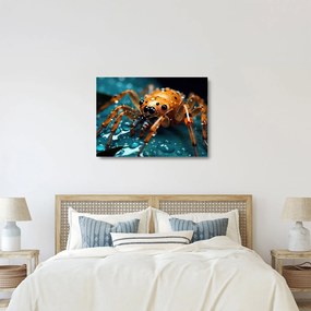 Üveg kép - A pók részlete (70x50 cm)