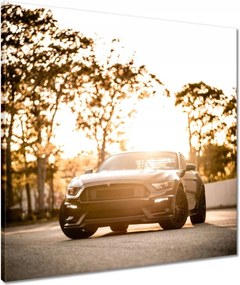 Vászonkép 60x60 Autó-Motor