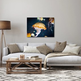 Medúza képe (70x50 cm)