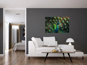 Kép – Pávatoll (90x60 cm)