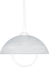Prezent ALBERT 23068 Függőlámpa 1x60W/E27 IP20
