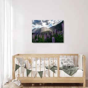 Kép - Csillagfürt táj (üvegen) (70x50 cm)