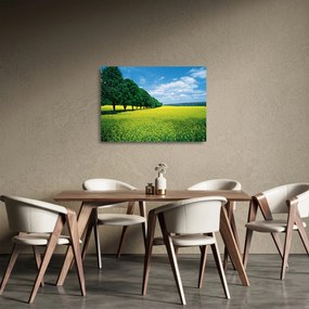 A mező képe egy sikátorral (üvegen) (70x50 cm)