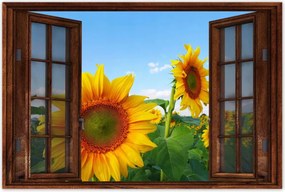 Poszterek 60x40 Napraforgók Égbolt