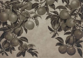 Dekoratív Fotótapéta Hálószobába Gyümölcsös minta 208x146 Ragasztó