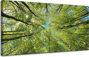 Vászonkép Levelek Fák Zöld Nap Ég 120x60 cm