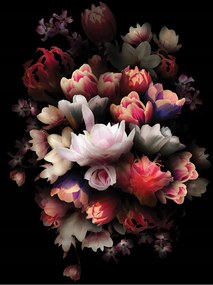 Fotótapéta Fekete tulipánok bazsarózsa virágok fekete alapon 184x254 +ragasztó