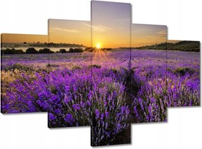 Vászonkép 100x70 Levendula tájkép Nap