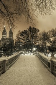 Poszter 40x60cm Central Park Bow Bridge Manhattan panorámával, Assaf Frank