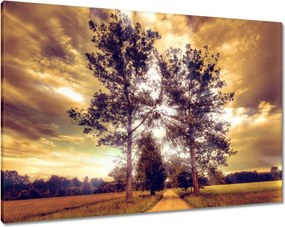 Festmények 100x70 Vidéki tájkép úttal