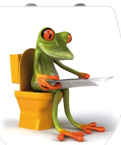 Frog News WC-ülőke, 45 x 38,8 cm - Wenko