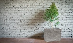 G21 Natur Box virágcserép 80 x 56 x 34