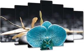 Vászonkép 140x80 Türkiz orchidea Virág