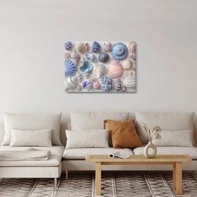 Üveg kép - Kagylógyűjtemény (70x50 cm)